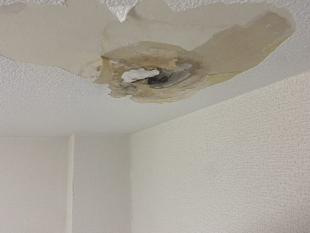 雨漏りして天井に穴が開いてしまった